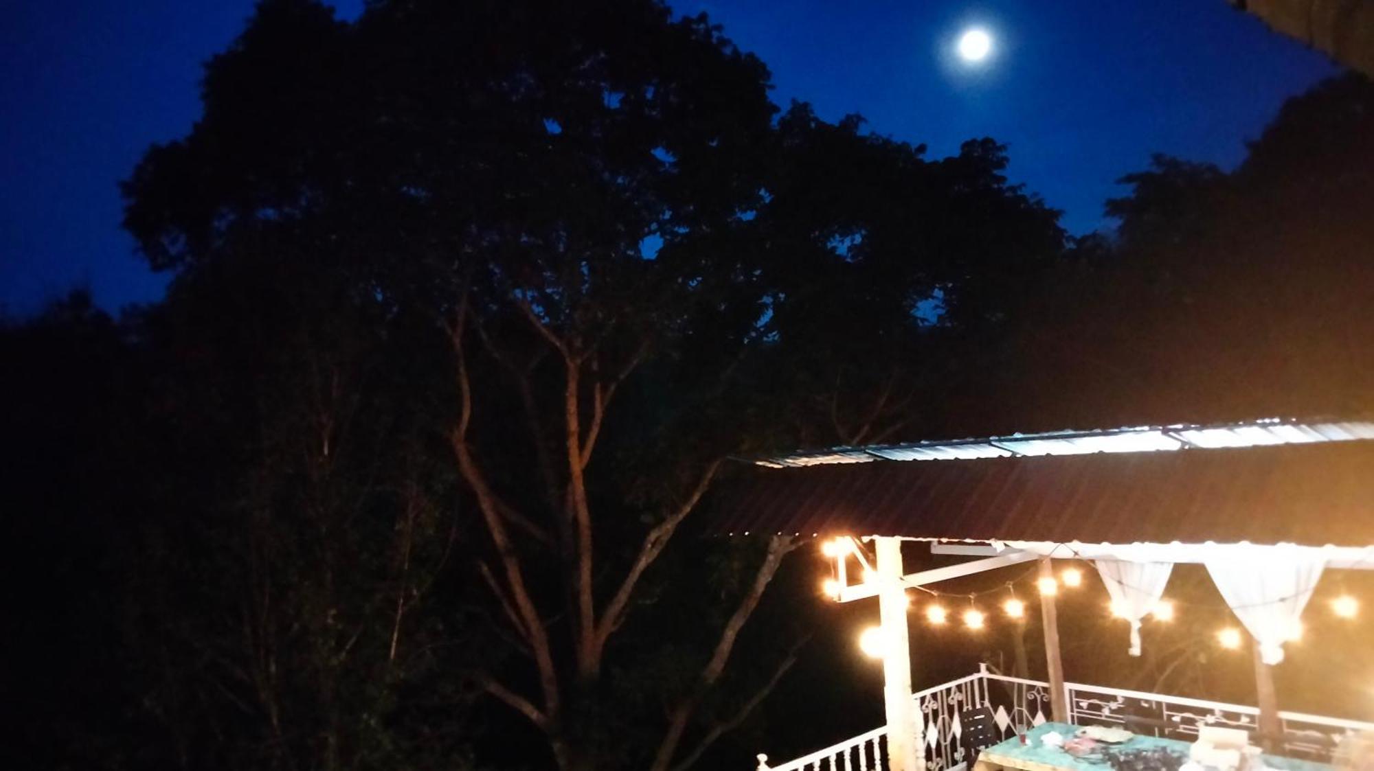 Balmy Hideout Cafe & Homestay Ban Huai Kaeo 外观 照片