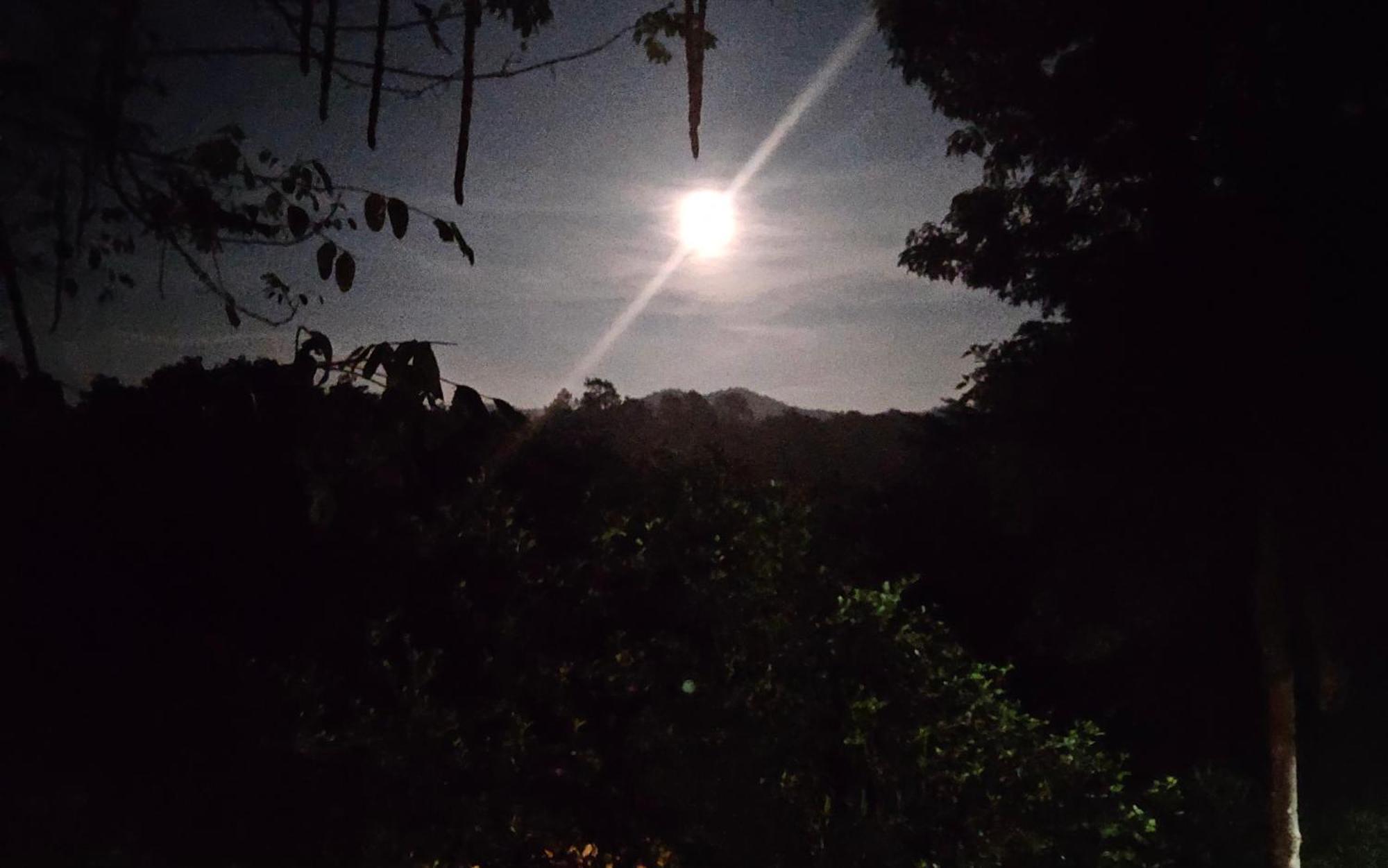 Balmy Hideout Cafe & Homestay Ban Huai Kaeo 外观 照片