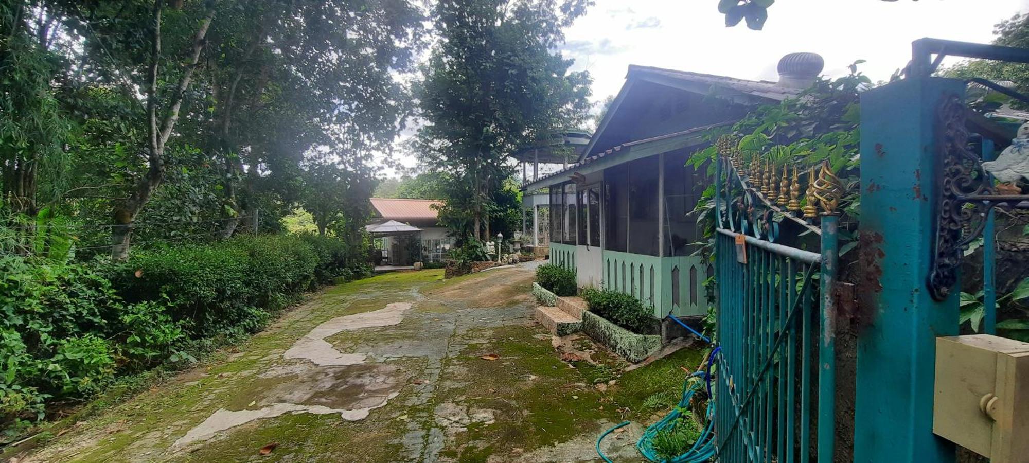 Balmy Hideout Cafe & Homestay Ban Huai Kaeo 外观 照片