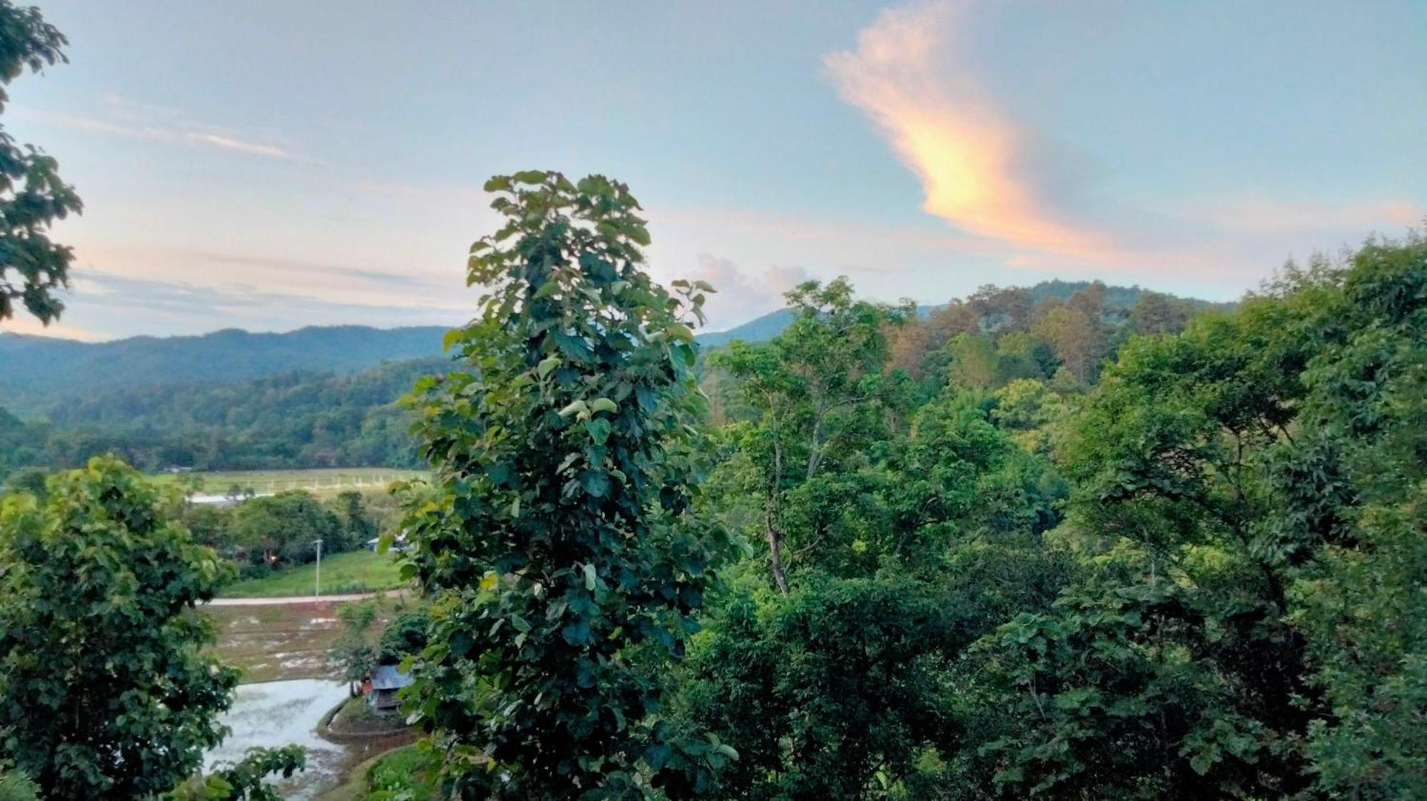 Balmy Hideout Cafe & Homestay Ban Huai Kaeo 外观 照片