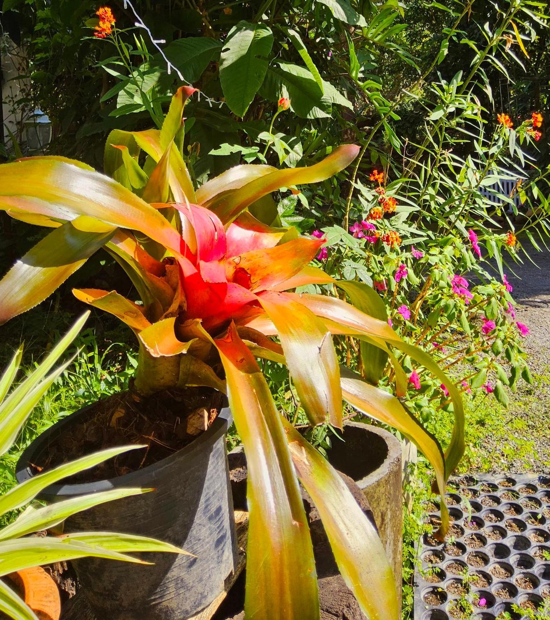 Balmy Hideout Cafe & Homestay Ban Huai Kaeo 外观 照片
